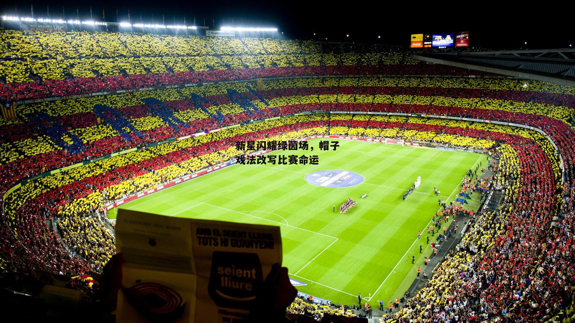 新星闪耀绿茵场，帽子戏法改写比赛命运